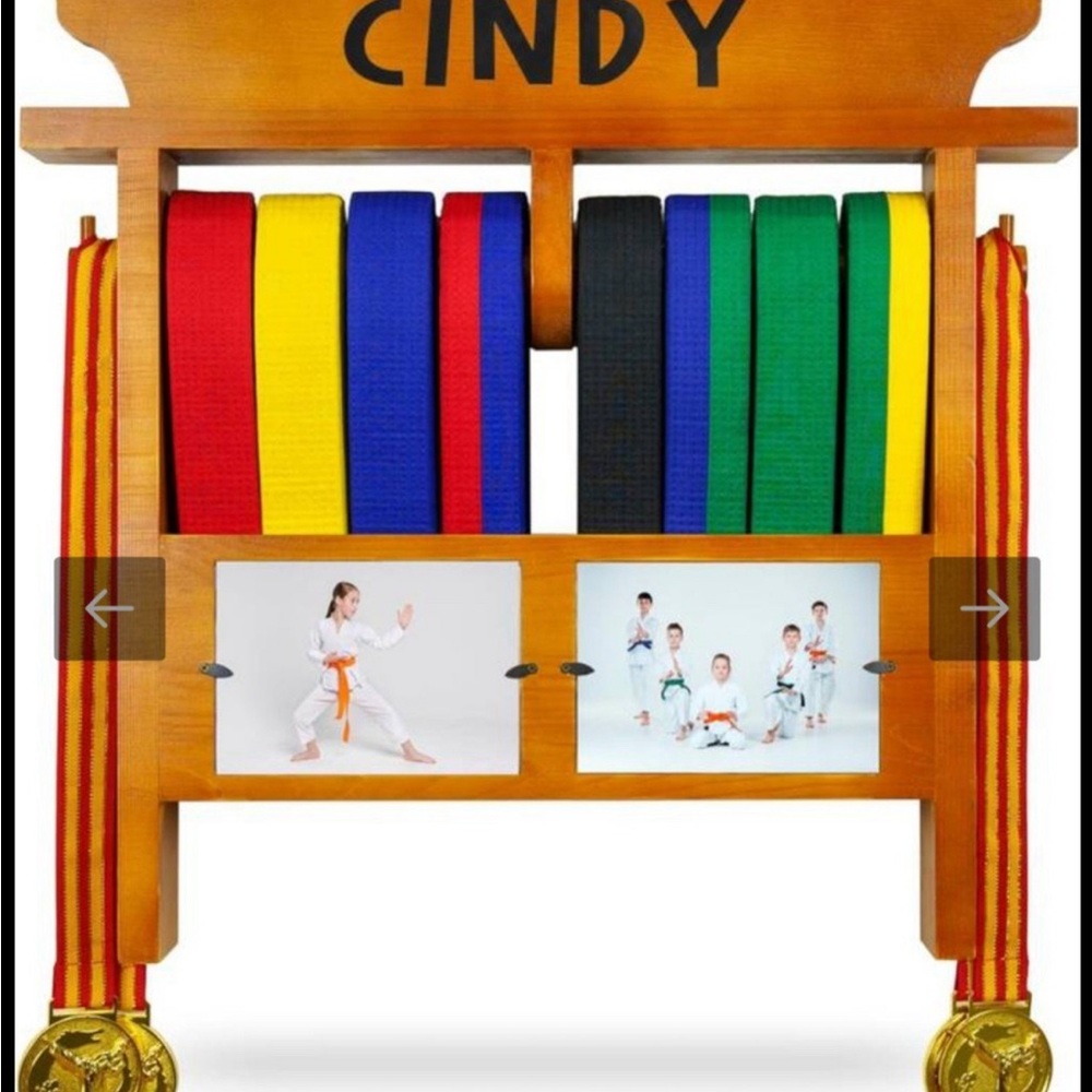 Martial Arts belt display case